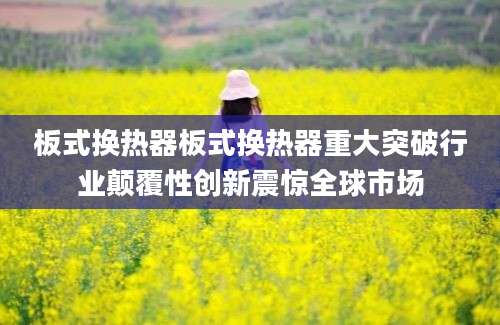 板式换热器板式换热器重大突破行业颠覆性创新震惊全球市场