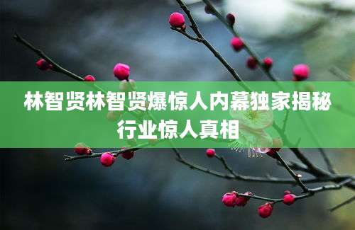 林智贤林智贤爆惊人内幕独家揭秘行业惊人真相