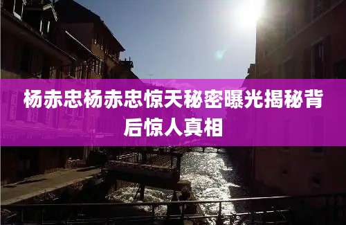 杨赤忠杨赤忠惊天秘密曝光揭秘背后惊人真相