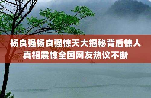 杨良强杨良强惊天大揭秘背后惊人真相震惊全国网友热议不断