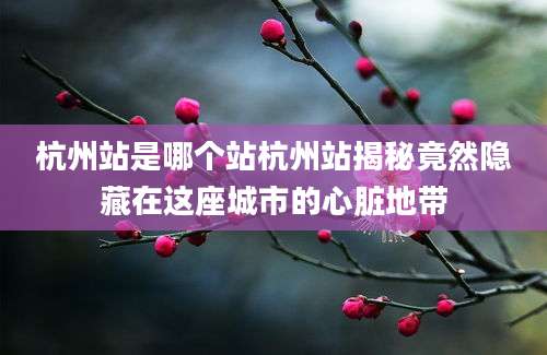 杭州站是哪个站杭州站揭秘竟然隐藏在这座城市的心脏地带