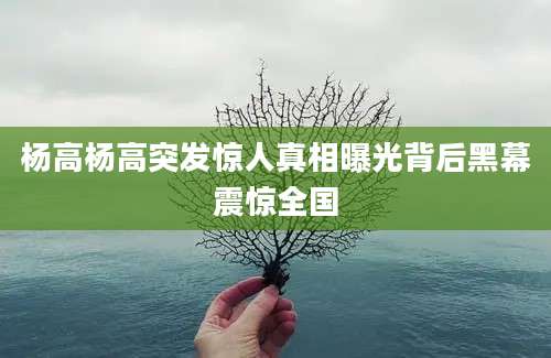 杨高杨高突发惊人真相曝光背后黑幕震惊全国