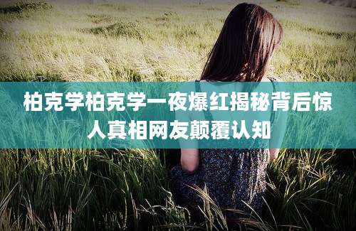 柏克学柏克学一夜爆红揭秘背后惊人真相网友颠覆认知