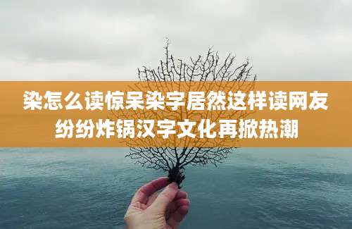 染怎么读惊呆染字居然这样读网友纷纷炸锅汉字文化再掀热潮