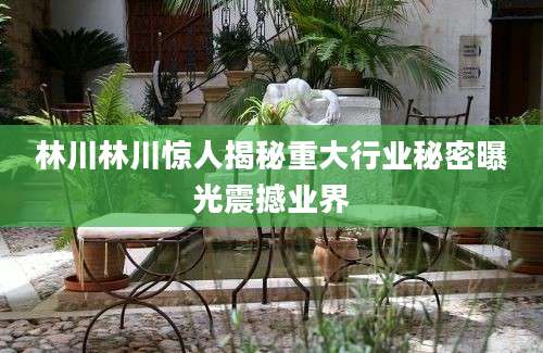 林川林川惊人揭秘重大行业秘密曝光震撼业界