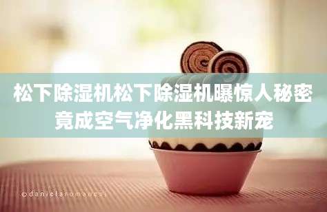松下除湿机松下除湿机曝惊人秘密竟成空气净化黑科技新宠