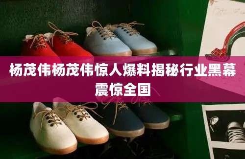 杨茂伟杨茂伟惊人爆料揭秘行业黑幕震惊全国