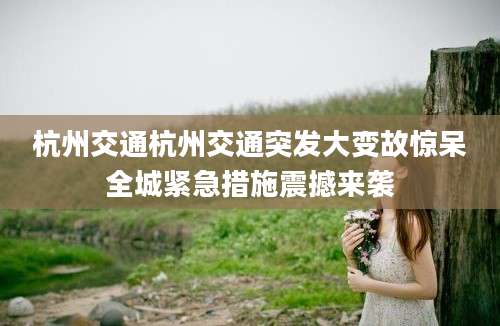 杭州交通杭州交通突发大变故惊呆全城紧急措施震撼来袭