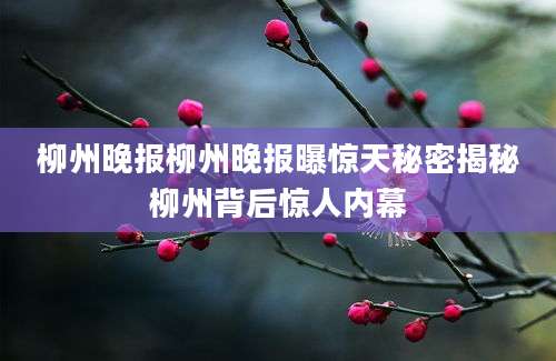 柳州晚报柳州晚报曝惊天秘密揭秘柳州背后惊人内幕