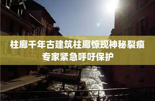 柱廊千年古建筑柱廊惊现神秘裂痕专家紧急呼吁保护