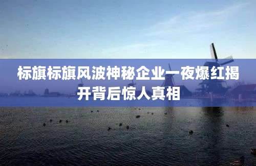 标旗标旗风波神秘企业一夜爆红揭开背后惊人真相