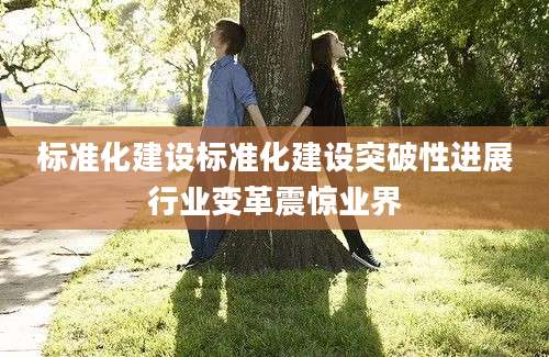 标准化建设标准化建设突破性进展行业变革震惊业界