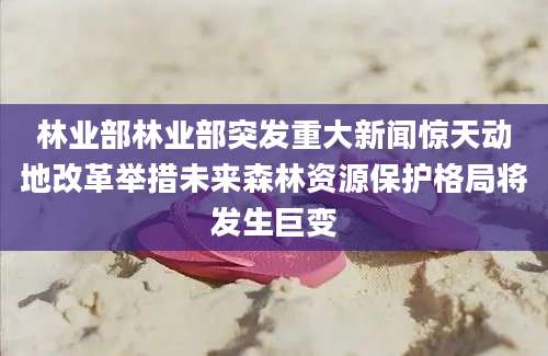 林业部林业部突发重大新闻惊天动地改革举措未来森林资源保护格局将发生巨变