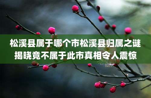 松溪县属于哪个市松溪县归属之谜揭晓竟不属于此市真相令人震惊