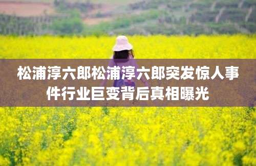 松浦淳六郎松浦淳六郎突发惊人事件行业巨变背后真相曝光