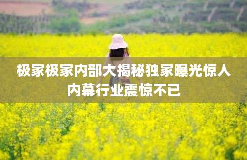 极家极家内部大揭秘独家曝光惊人内幕行业震惊不已