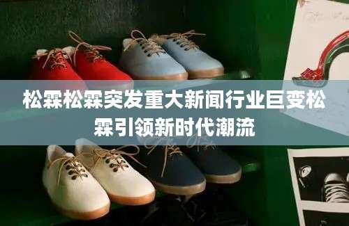 松霖松霖突发重大新闻行业巨变松霖引领新时代潮流