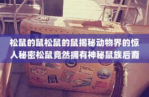 松鼠的鼠松鼠的鼠揭秘动物界的惊人秘密松鼠竟然拥有神秘鼠族后裔