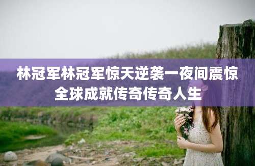 林冠军林冠军惊天逆袭一夜间震惊全球成就传奇传奇人生