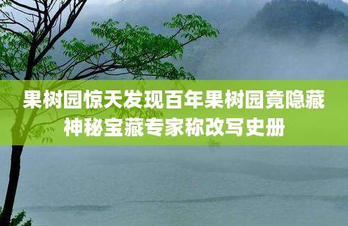 果树园惊天发现百年果树园竟隐藏神秘宝藏专家称改写史册