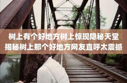 树上有个好地方树上惊现隐秘天堂揭秘树上那个好地方网友直呼太震撼