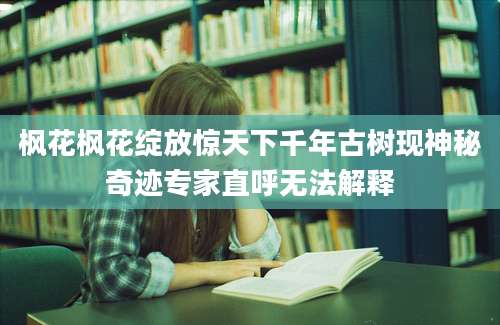 枫花枫花绽放惊天下千年古树现神秘奇迹专家直呼无法解释