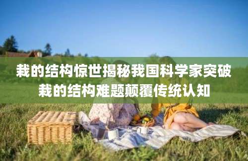 栽的结构惊世揭秘我国科学家突破栽的结构难题颠覆传统认知