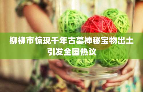 柳柳市惊现千年古墓神秘宝物出土引发全国热议