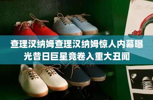 查理汉纳姆查理汉纳姆惊人内幕曝光昔日巨星竟卷入重大丑闻