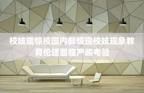 校妓震惊校园内部惊现校妓现象教育伦理面临严峻考验
