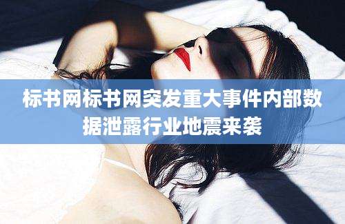 标书网标书网突发重大事件内部数据泄露行业地震来袭