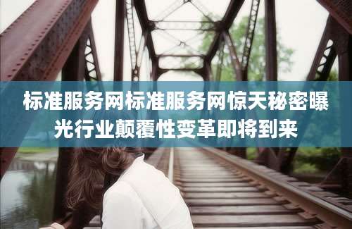标准服务网标准服务网惊天秘密曝光行业颠覆性变革即将到来