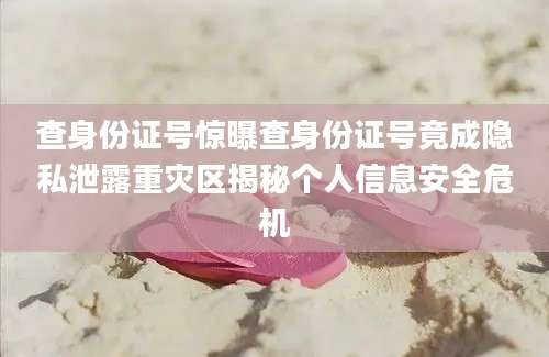 查身份证号惊曝查身份证号竟成隐私泄露重灾区揭秘个人信息安全危机