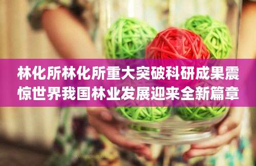 林化所林化所重大突破科研成果震惊世界我国林业发展迎来全新篇章