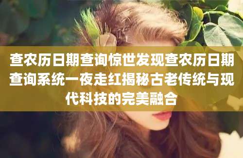 查农历日期查询惊世发现查农历日期查询系统一夜走红揭秘古老传统与现代科技的完美融合