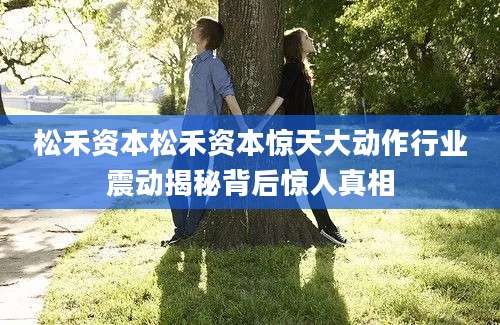 松禾资本松禾资本惊天大动作行业震动揭秘背后惊人真相