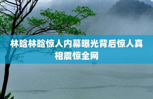 林晗林晗惊人内幕曝光背后惊人真相震惊全网