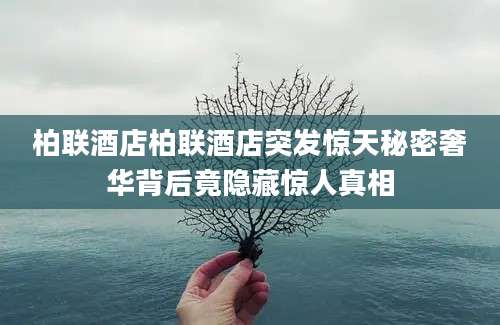 柏联酒店柏联酒店突发惊天秘密奢华背后竟隐藏惊人真相