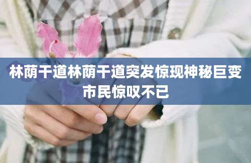 林荫干道林荫干道突发惊现神秘巨变市民惊叹不已