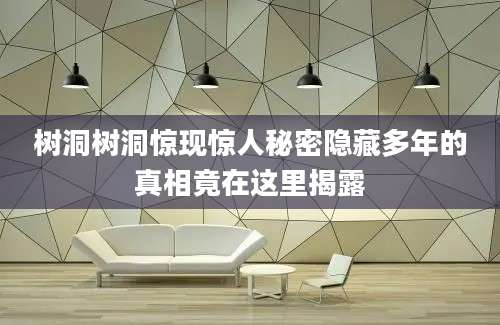 树洞树洞惊现惊人秘密隐藏多年的真相竟在这里揭露