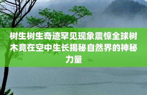 树生树生奇迹罕见现象震惊全球树木竟在空中生长揭秘自然界的神秘力量