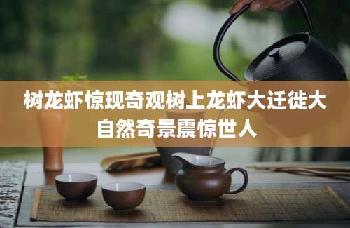 树龙虾惊现奇观树上龙虾大迁徙大自然奇景震惊世人
