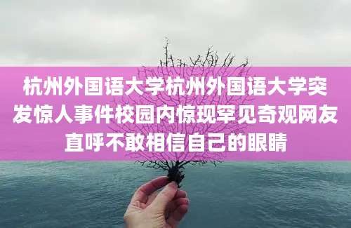 杭州外国语大学杭州外国语大学突发惊人事件校园内惊现罕见奇观网友直呼不敢相信自己的眼睛