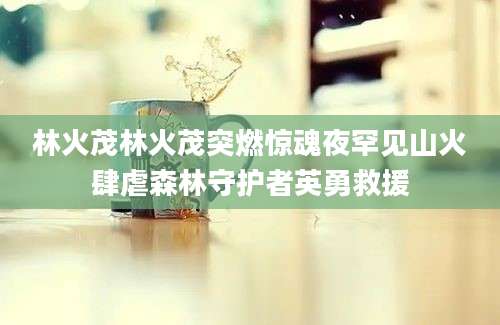 林火茂林火茂突燃惊魂夜罕见山火肆虐森林守护者英勇救援
