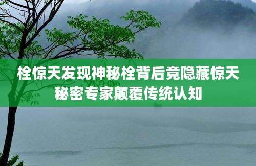 栓惊天发现神秘栓背后竟隐藏惊天秘密专家颠覆传统认知