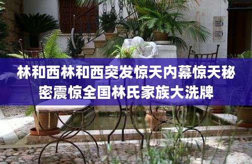 林和西林和西突发惊天内幕惊天秘密震惊全国林氏家族大洗牌
