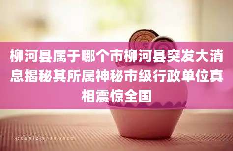 柳河县属于哪个市柳河县突发大消息揭秘其所属神秘市级行政单位真相震惊全国