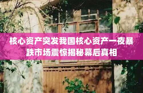 核心资产突发我国核心资产一夜暴跌市场震惊揭秘幕后真相