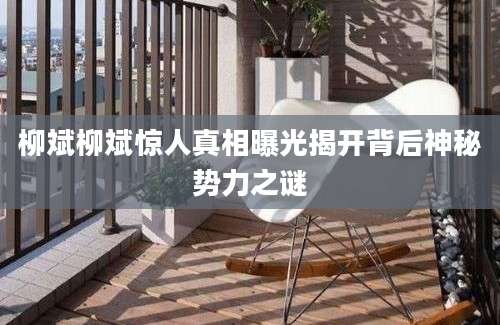 柳斌柳斌惊人真相曝光揭开背后神秘势力之谜