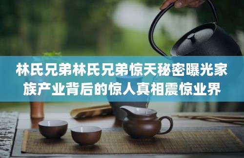 林氏兄弟林氏兄弟惊天秘密曝光家族产业背后的惊人真相震惊业界